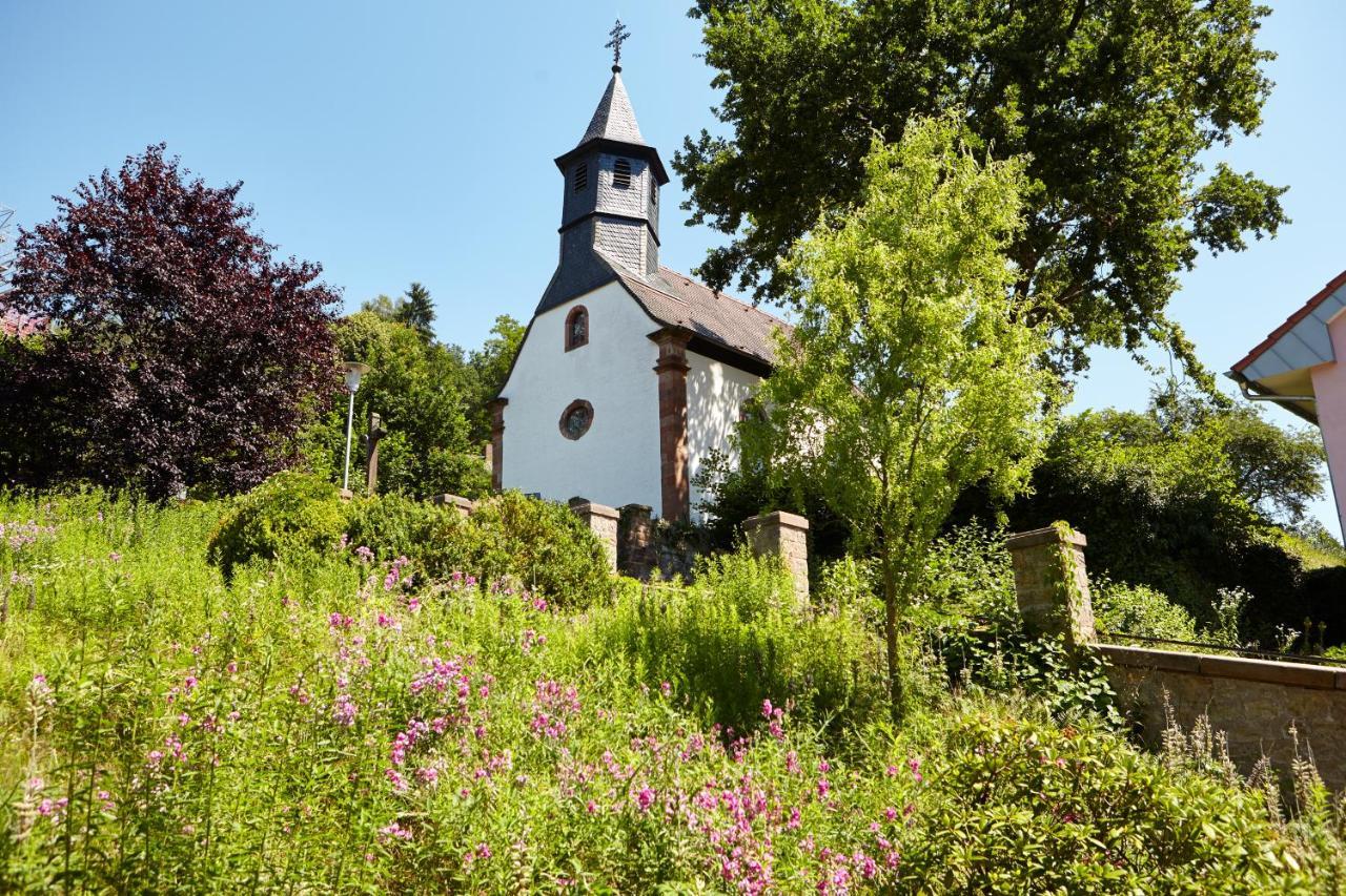 Luxusapartment Burgschaenke Kaiserslautern Buitenkant foto